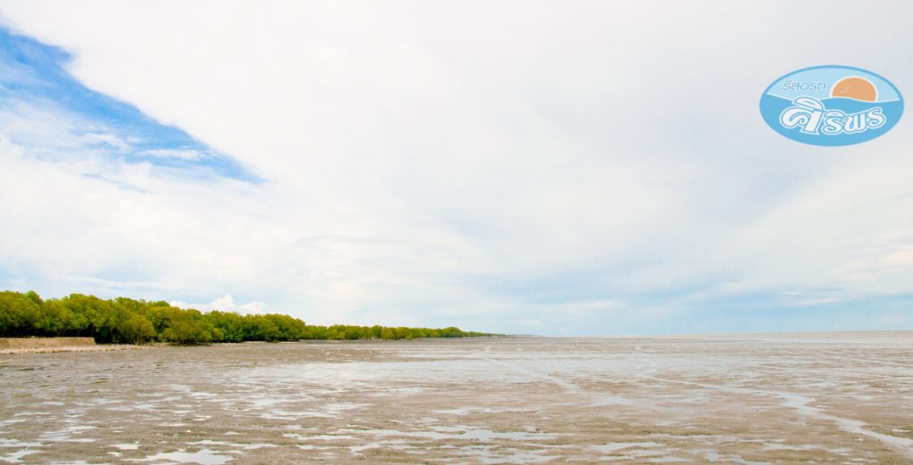 Plant mangrove trees is one of the corporate social responsibility (CSR) activities that can be sustainably contributed to the local community. You can also take a boat ride to see the mangrove forest area, monkeys, and experience the ways of life of local fishermen.